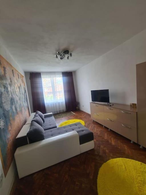Mural Art Apartament Petrosani Exterior photo